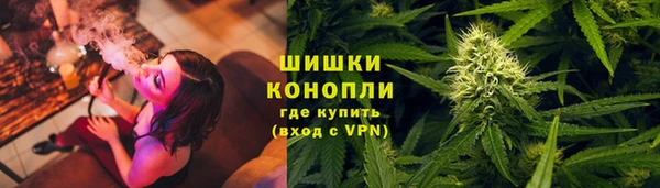крисы Верхний Тагил