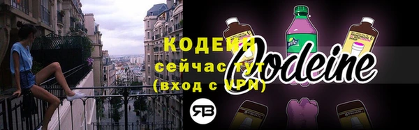 крисы Верхний Тагил