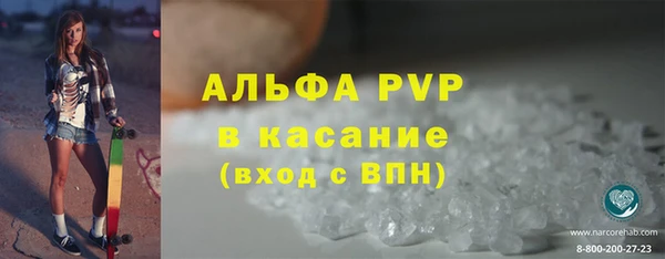 крисы Верхний Тагил
